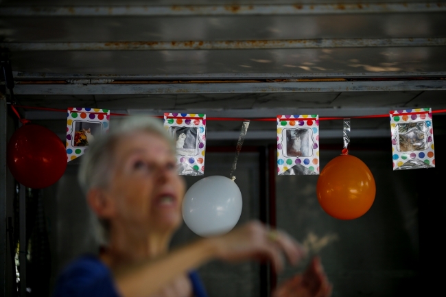 Sokak kedilerine karavandan yuva yaptılar